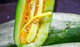 网红刘二萌吃瓜图片,趣味瞬间引网友热议