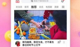 七彩菠萝爆料视频下载免费,揭秘免费下载背后的秘密
