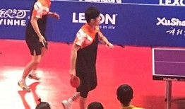 马龙爆料樊正东了吗视频,樊正东事件背后真相曝光